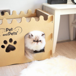 Bungalow Eco Pet House – Two-Story Cat Playhouse | WLD