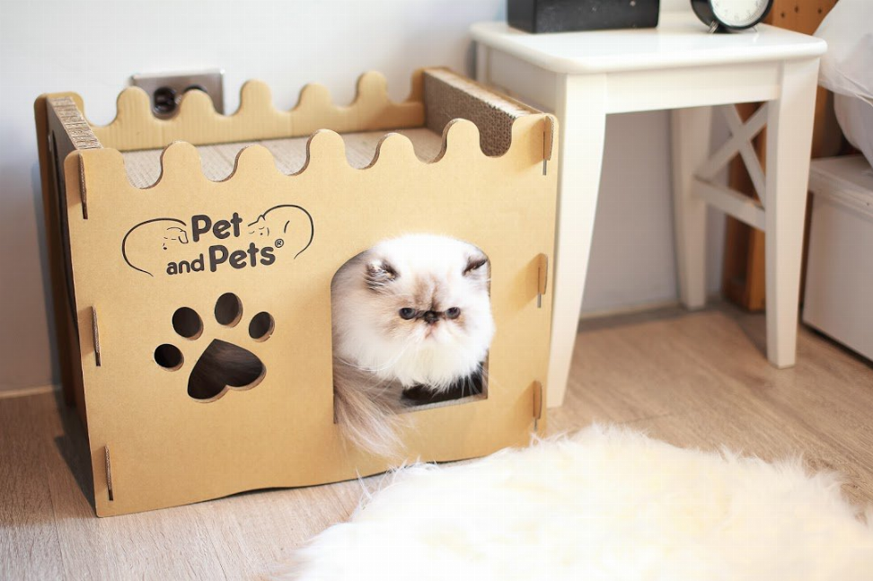 Bungalow eco pet house for cats and small dogs
