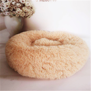 Cat sleeping in plush bed