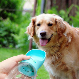 Portable Pet Water Bottle 350 ml – Travel Dog Drinking Cup